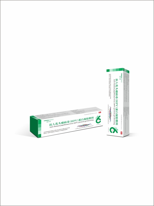 抗人乳头瘤病毒(HPV)蛋白凝胶敷料