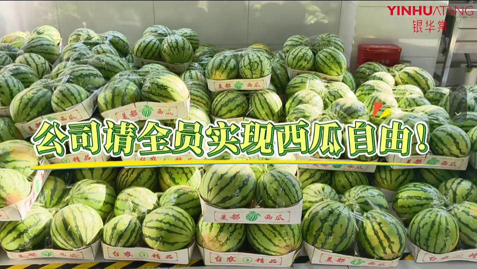 西瓜自由 西瓜自由